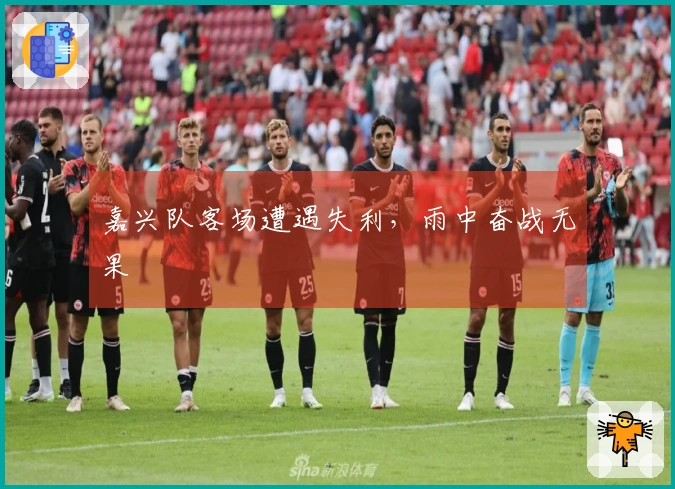 嘉兴队客场遭遇失利，雨中奋战无果