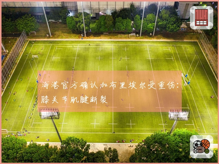 海港官方确认加布里埃尔受重伤：膝关节肌腱断裂