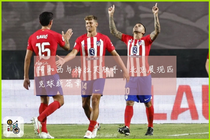阿加西与格拉芙联手，北京展现匹克球新篇章