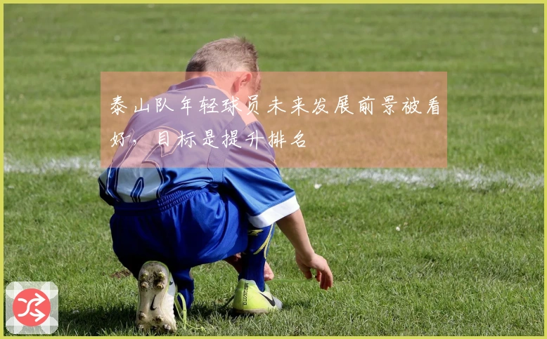 泰山队年轻球员未来发展前景被看好，目标是提升排名