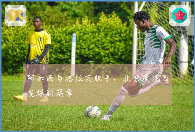 阿加西与格拉芙联手，北京展现匹克球新篇章