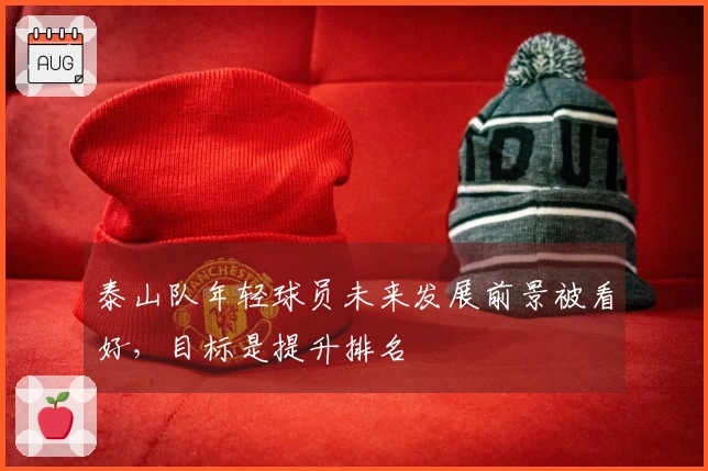 泰山队年轻球员未来发展前景被看好，目标是提升排名